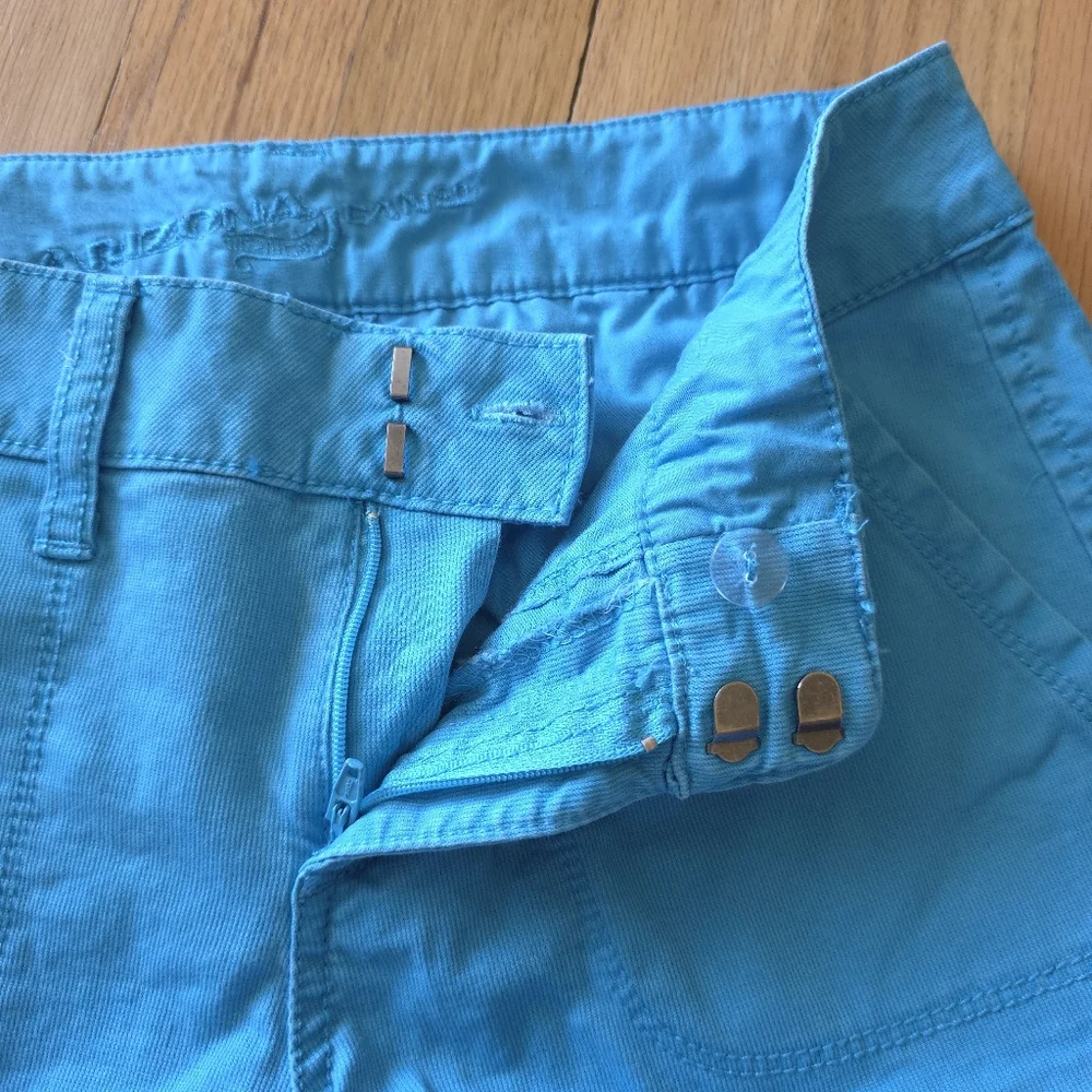 Y2K Arizona Jean Co. Blue Cotton Shorts Low Rise Casual Colorful